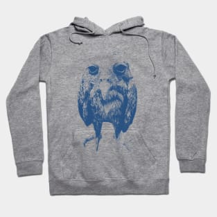 Wet owl shirt, Retro Cartoon T Shirt, Weird T Shirt, Meme Hoodie